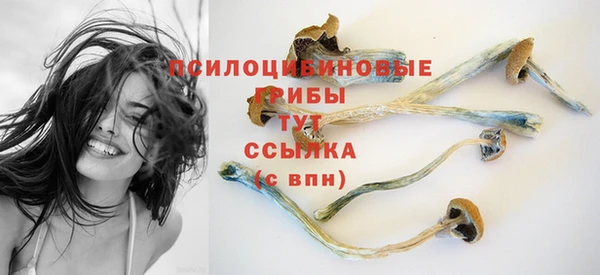 хмурый Слюдянка