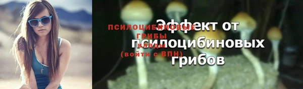 дурь Михайловск