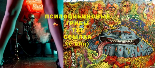 хмурый Слюдянка