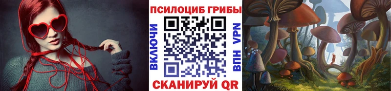 блэк спрут зеркало  даркнет сайт  Северск  Галлюциногенные грибы ЛСД 